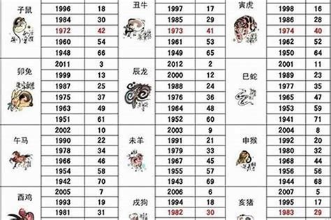 2023 屬狗 1970年|2023年12生肖運勢大全——生肖狗